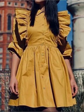 Zara Mustard Ruffle-Sleeve Mini Dress